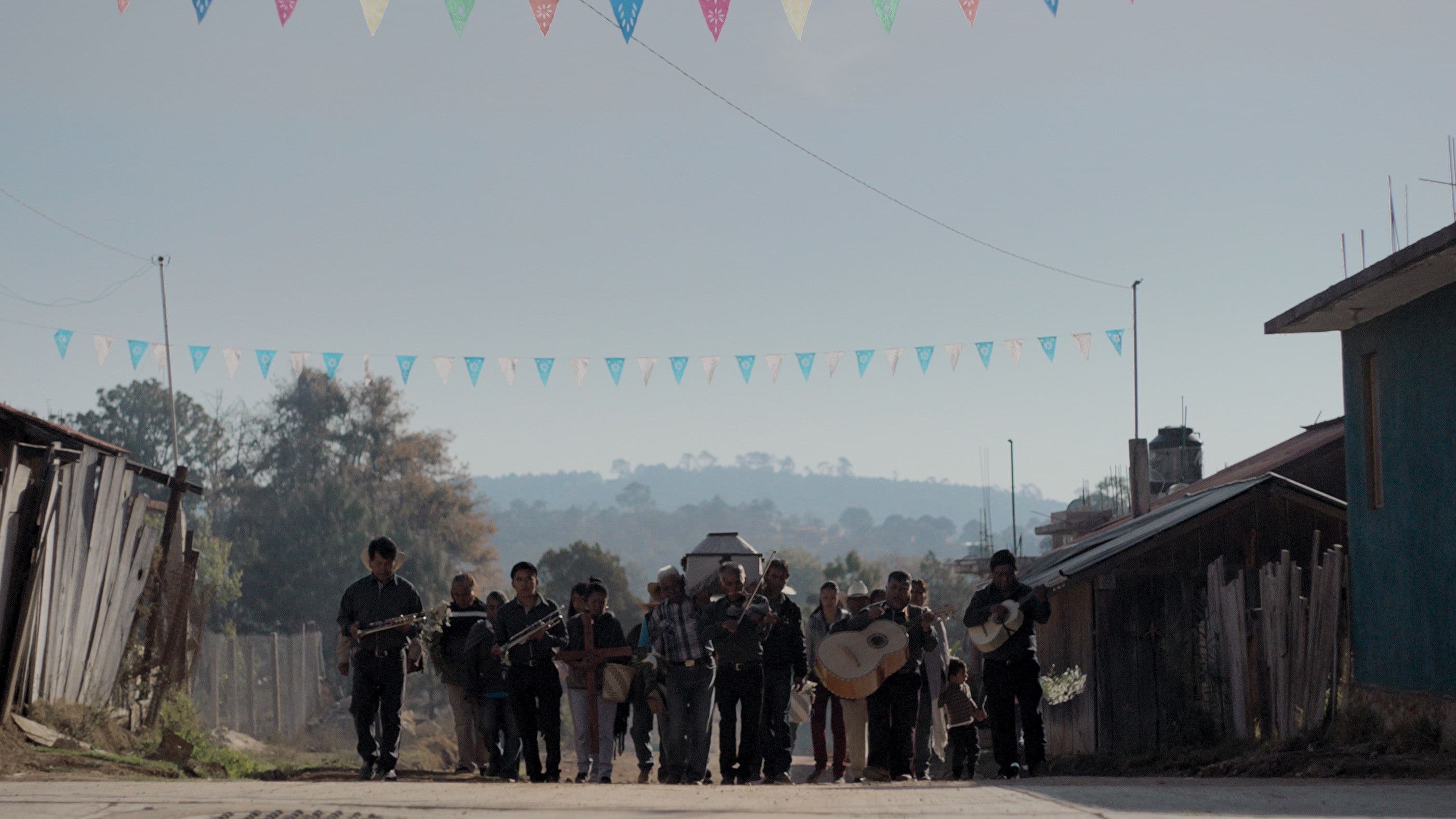 Poster backdrop for Nudo Mixteco