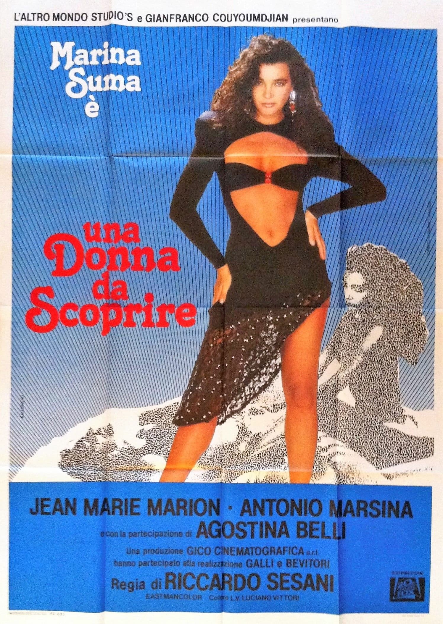 Poster backdrop for Una donna da scoprire