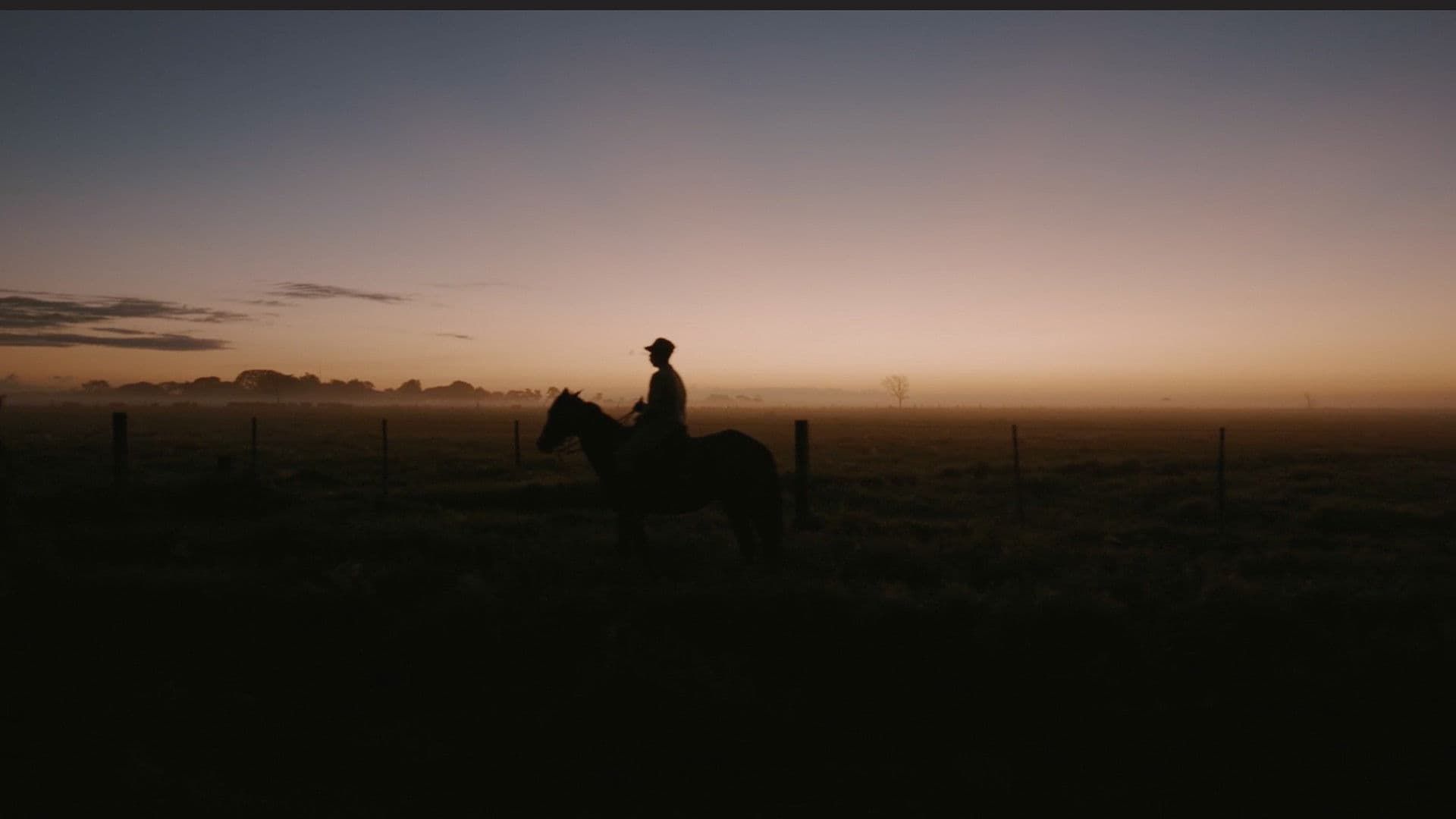 Poster backdrop for Resolve in Venezuela