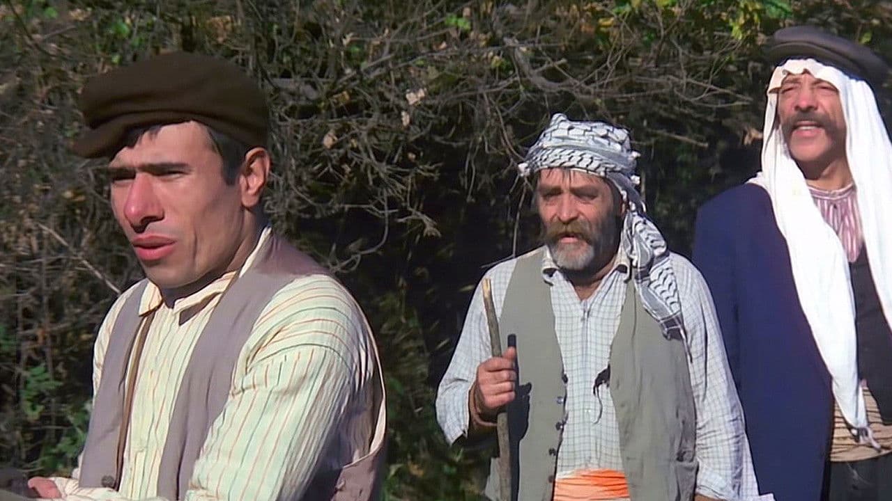 Poster backdrop for Handsome Poor Bilo