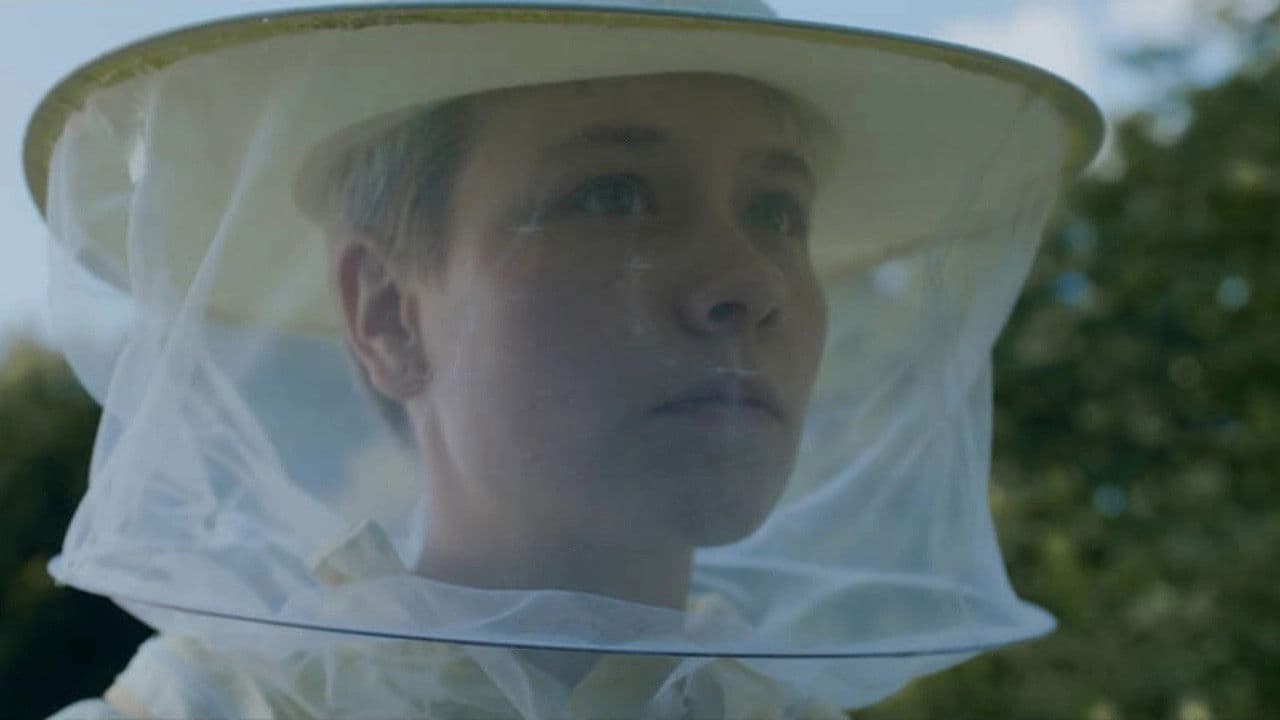 Poster backdrop for The Swarmers