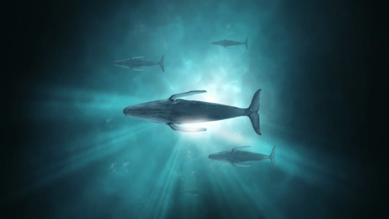 Poster backdrop for Sonic Sea