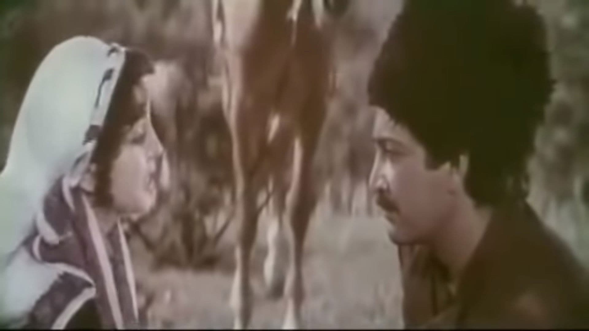 Poster backdrop for Wait for Me