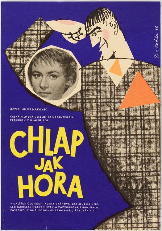Poster backdrop for Chlap jako hora