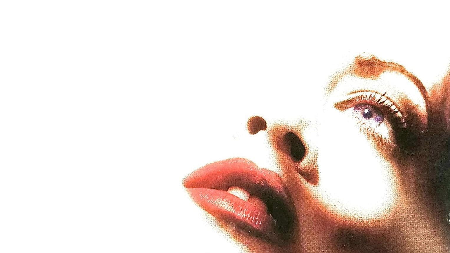 Poster backdrop for Dead End