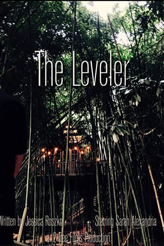 Poster backdrop for The Leveler