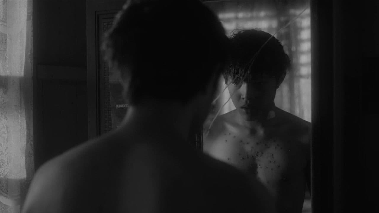 Poster backdrop for Kalel, 15