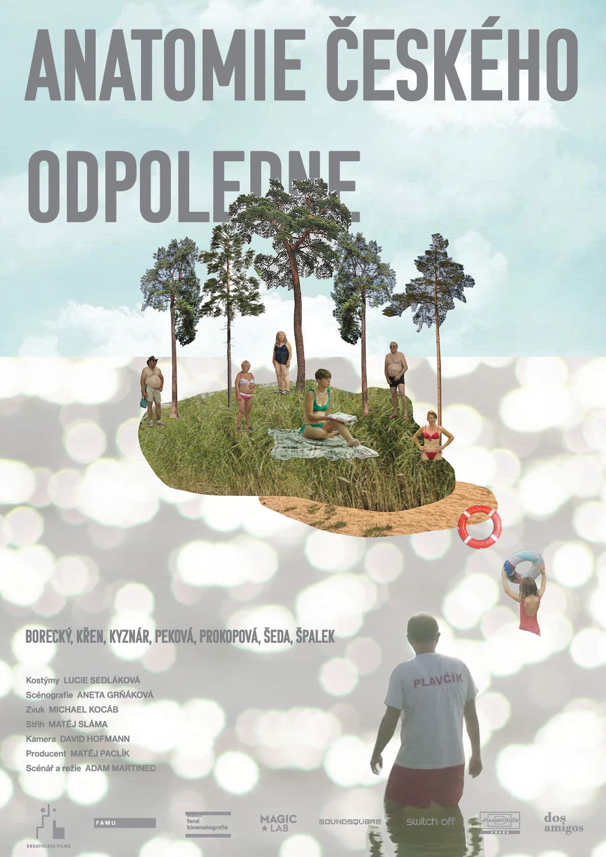 Poster backdrop for Anatomy of a Czech Afternoon