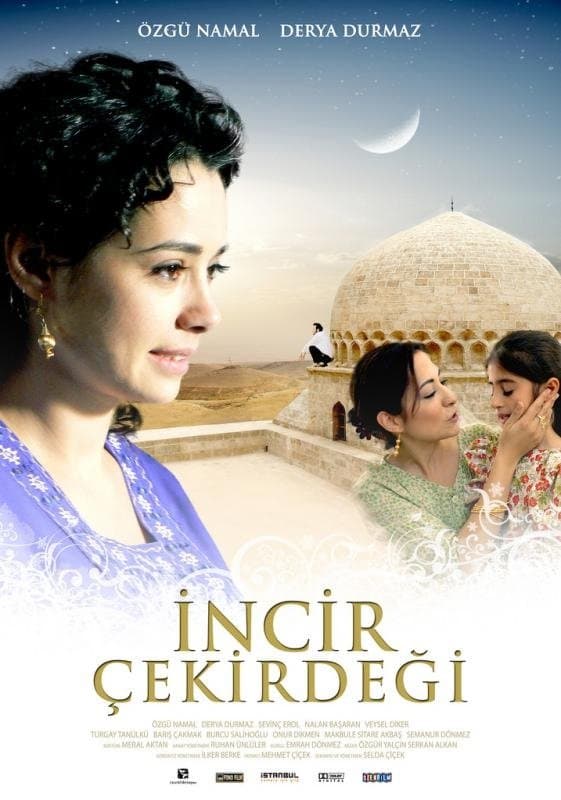 Poster backdrop for İncir Çekirdeği