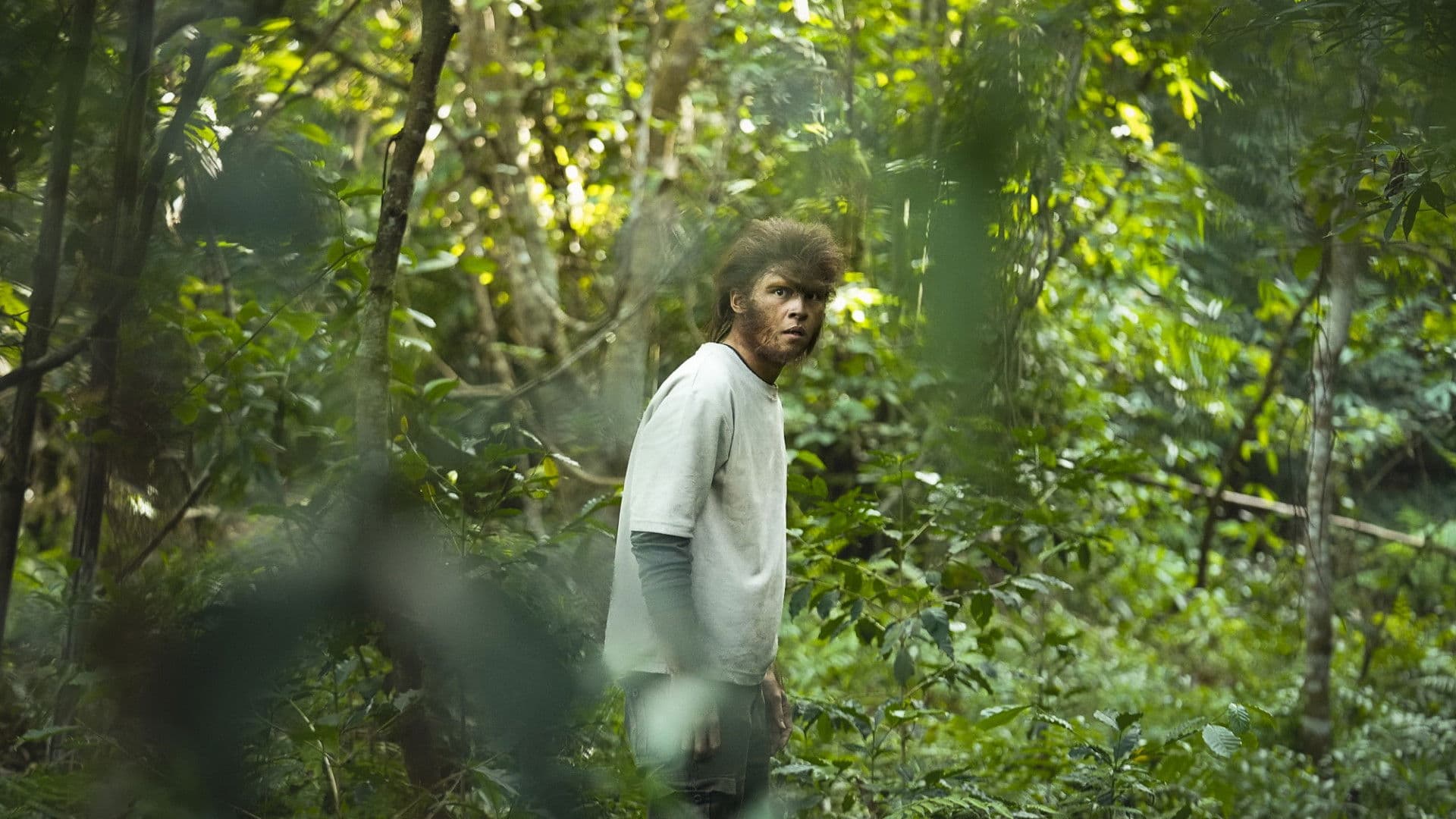 Poster backdrop for Rungay