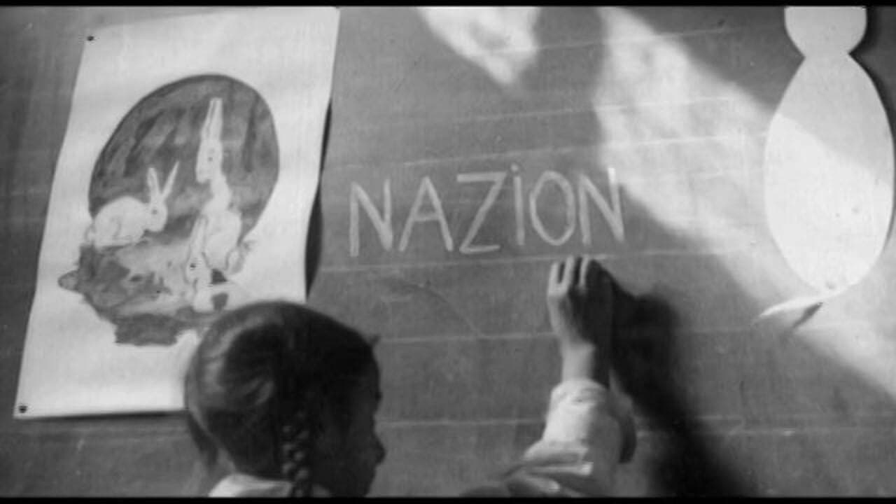 Poster backdrop for Nazion