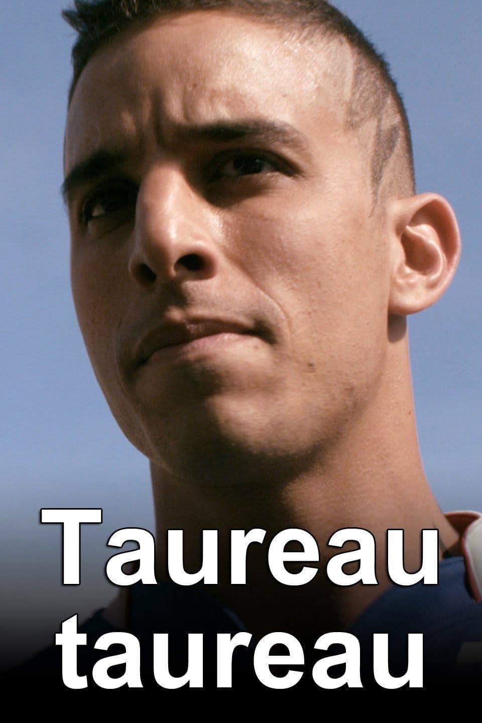 Poster backdrop for Taureau Taureau