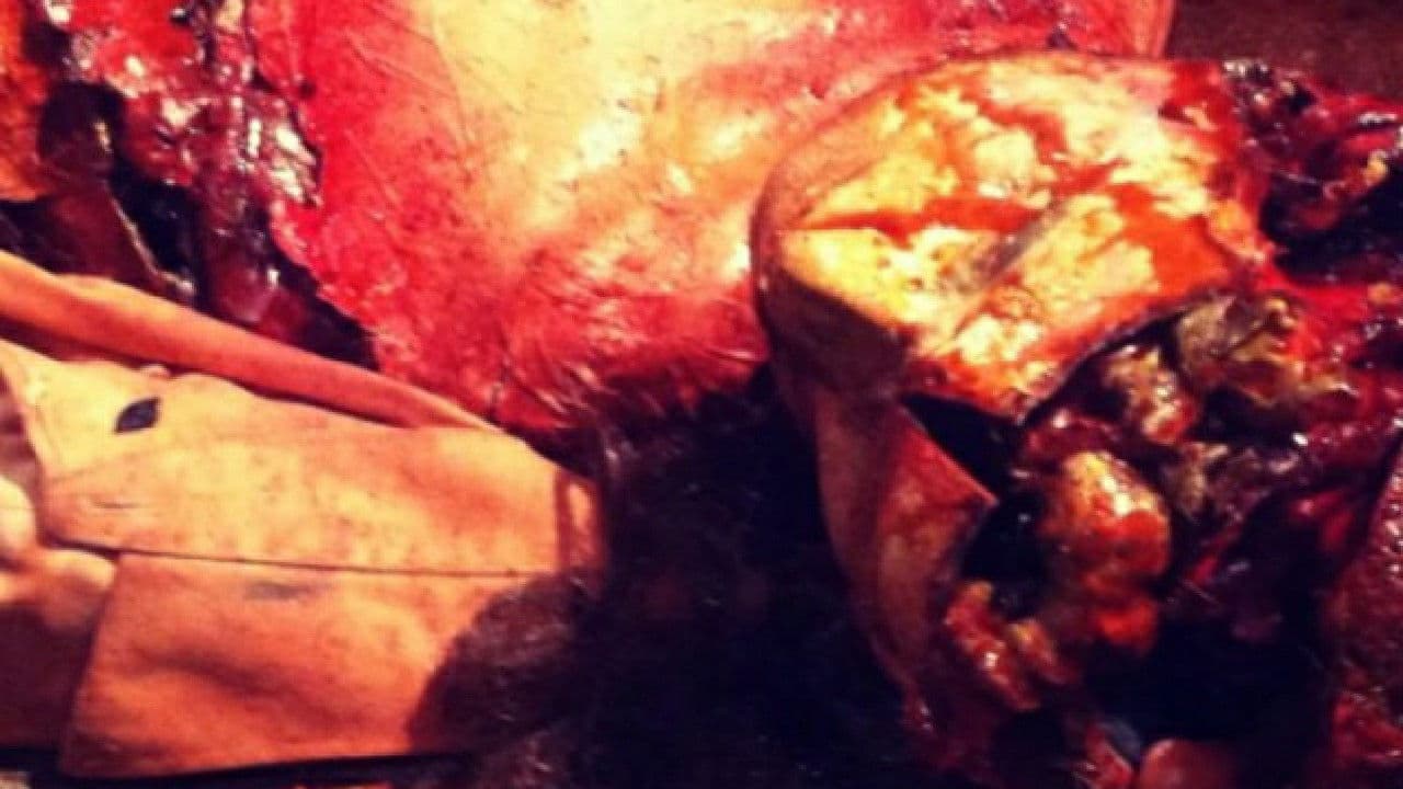 Poster backdrop for Septic