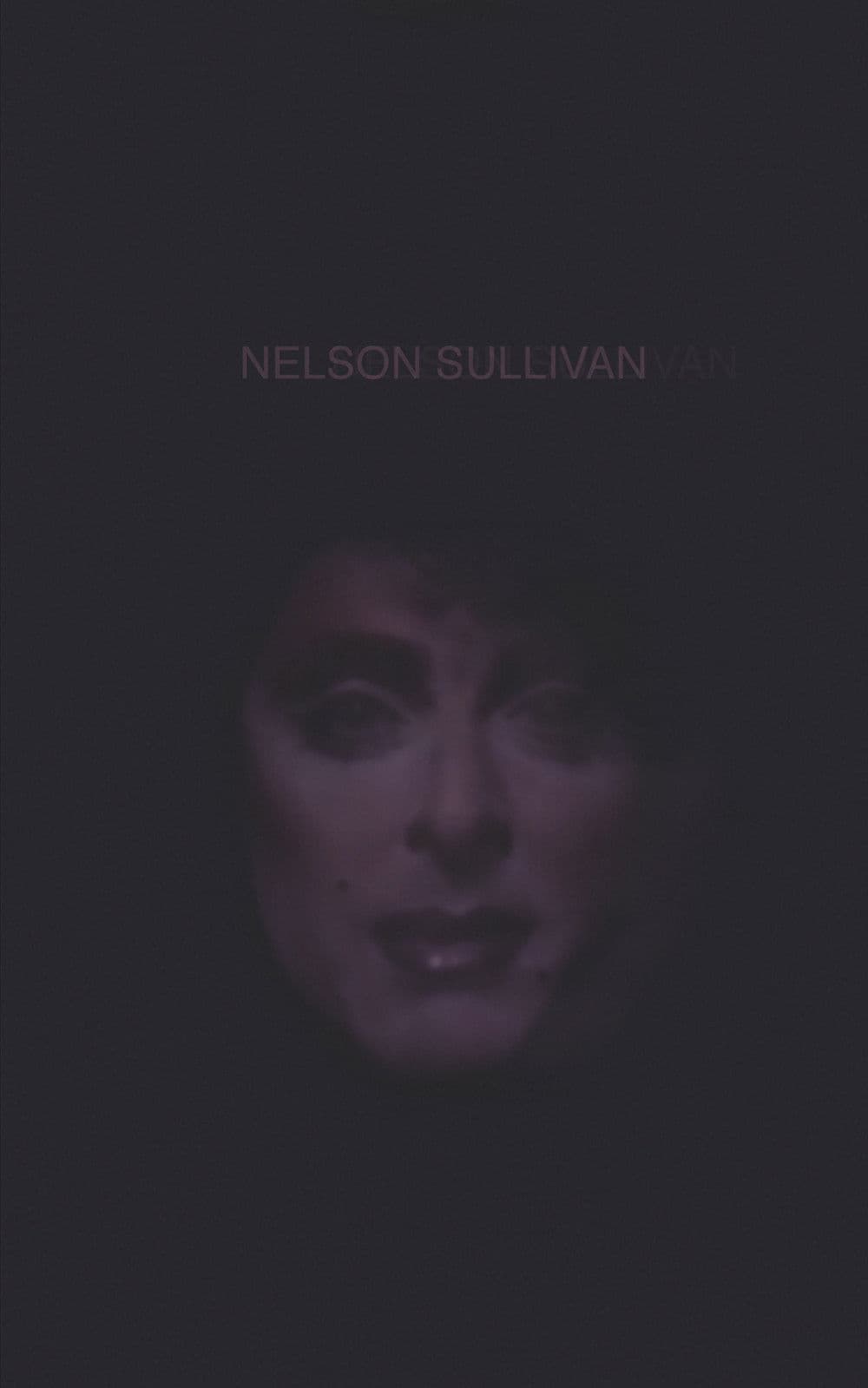 Poster backdrop for Nelson Sullivan