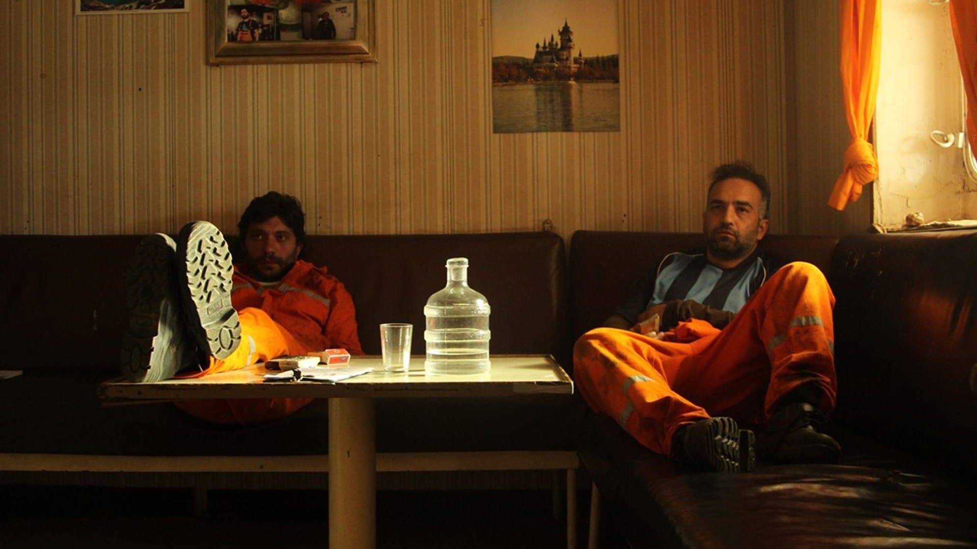 Poster backdrop for Ivy