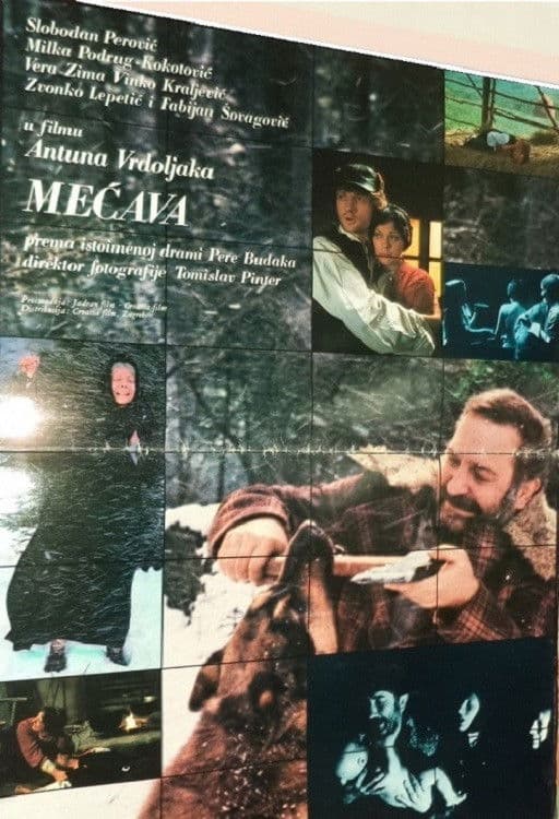 Poster backdrop for Snowstorm