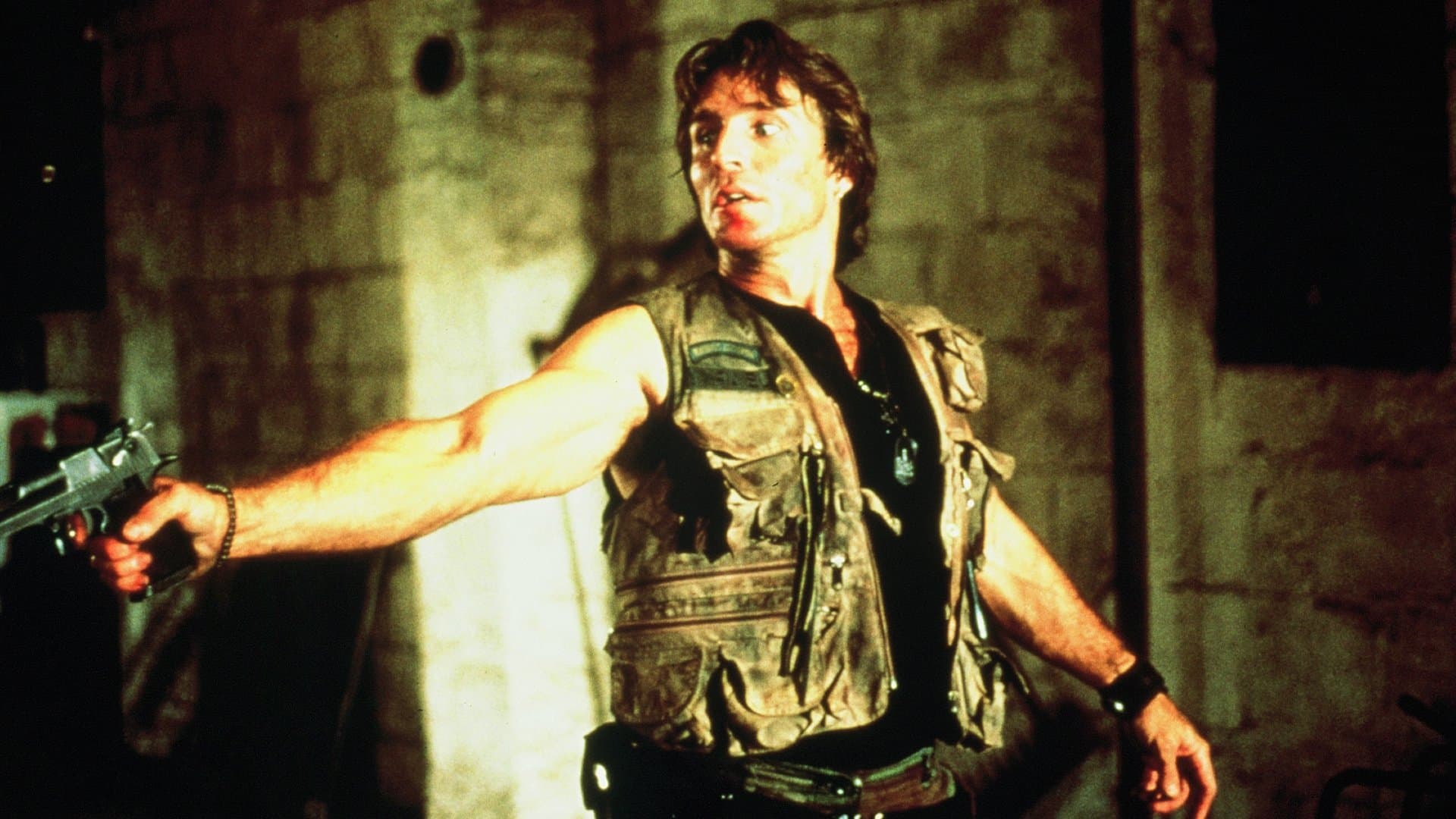 Poster backdrop for The Final Sanction