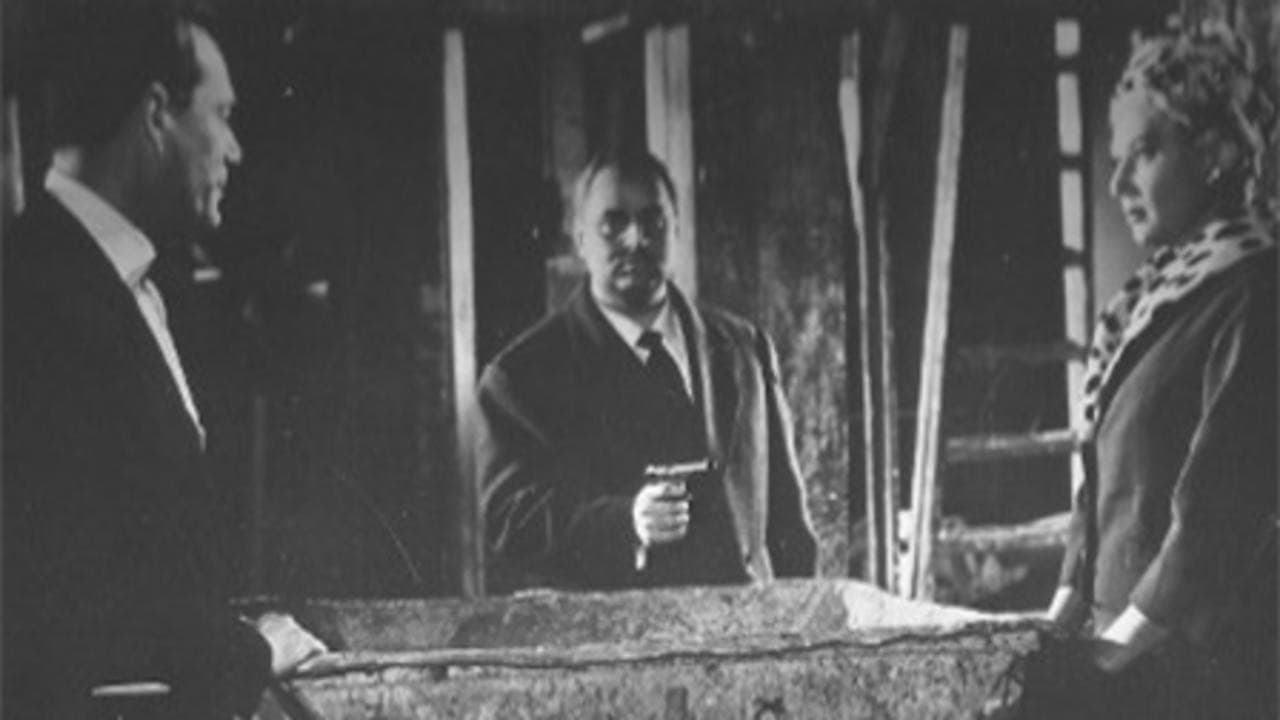 Poster backdrop for Incognito