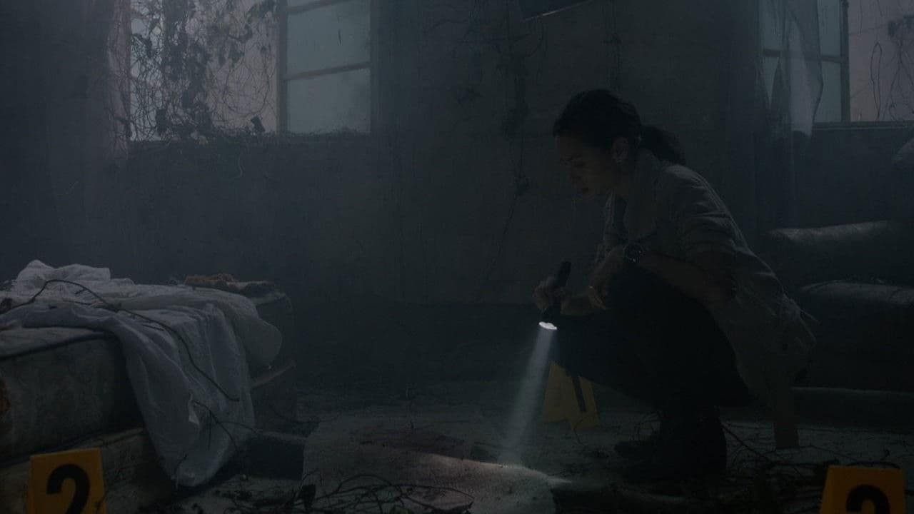 Poster backdrop for Motif