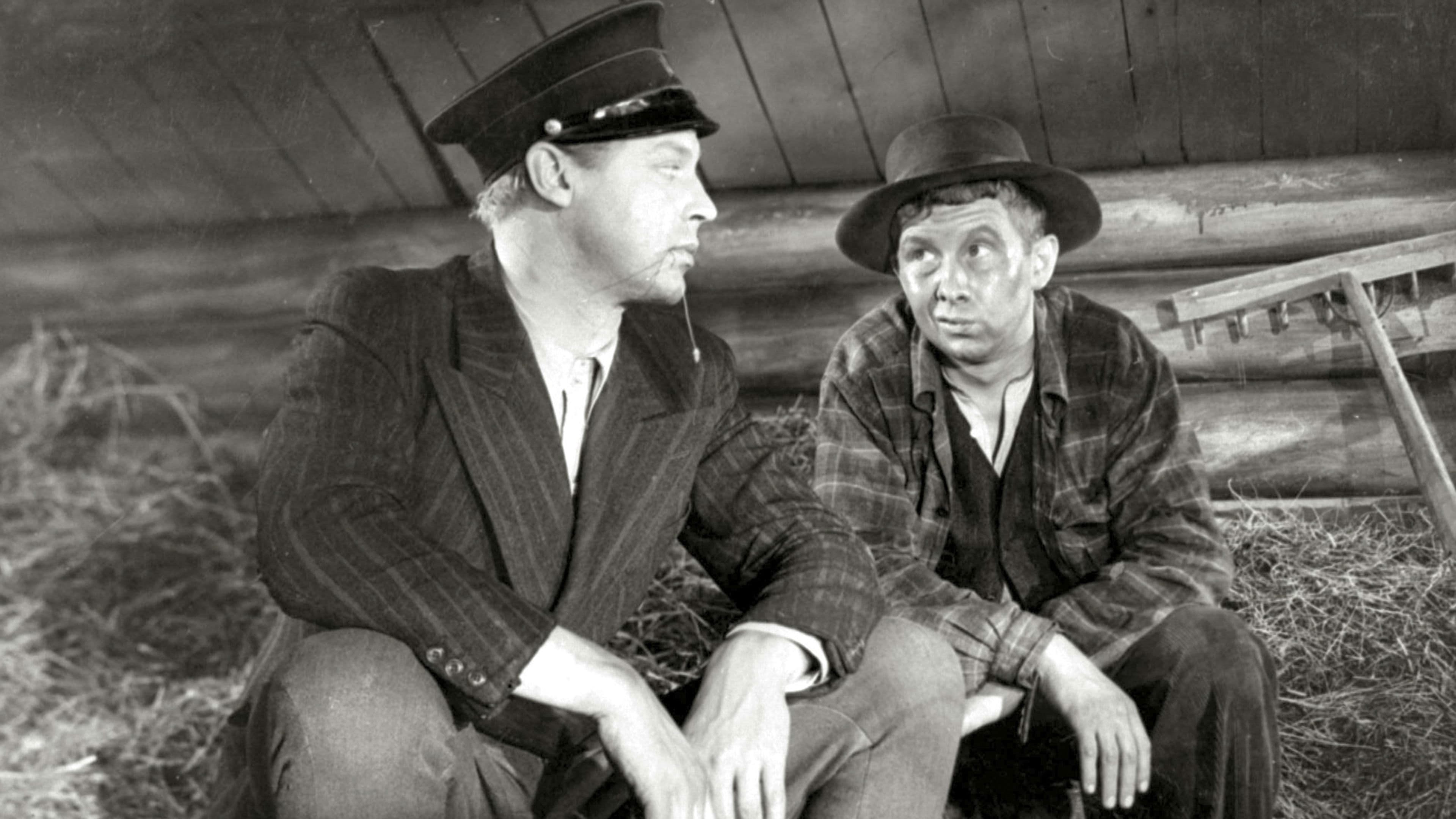 Poster backdrop for Rakkaus on nopeampi Piiroisen pässiäkin