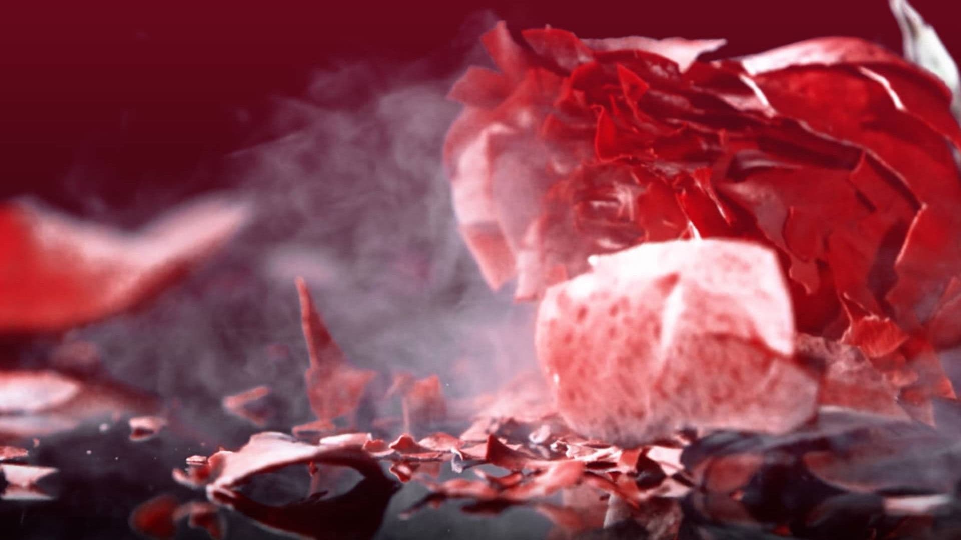 Poster backdrop for Shattered Hearts