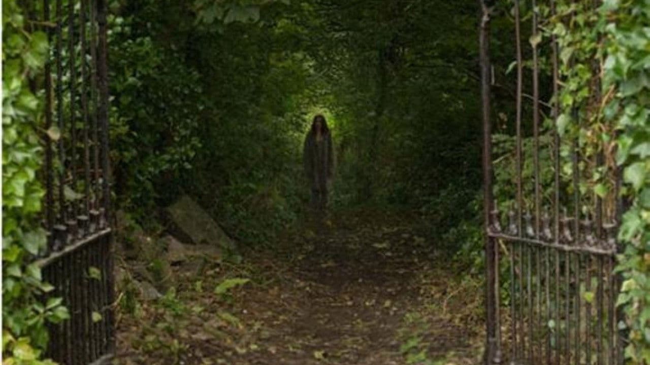 Poster backdrop for The Rafters