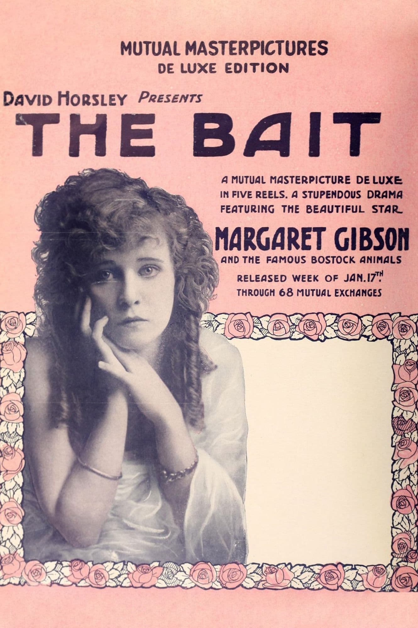 Poster backdrop for The Bait