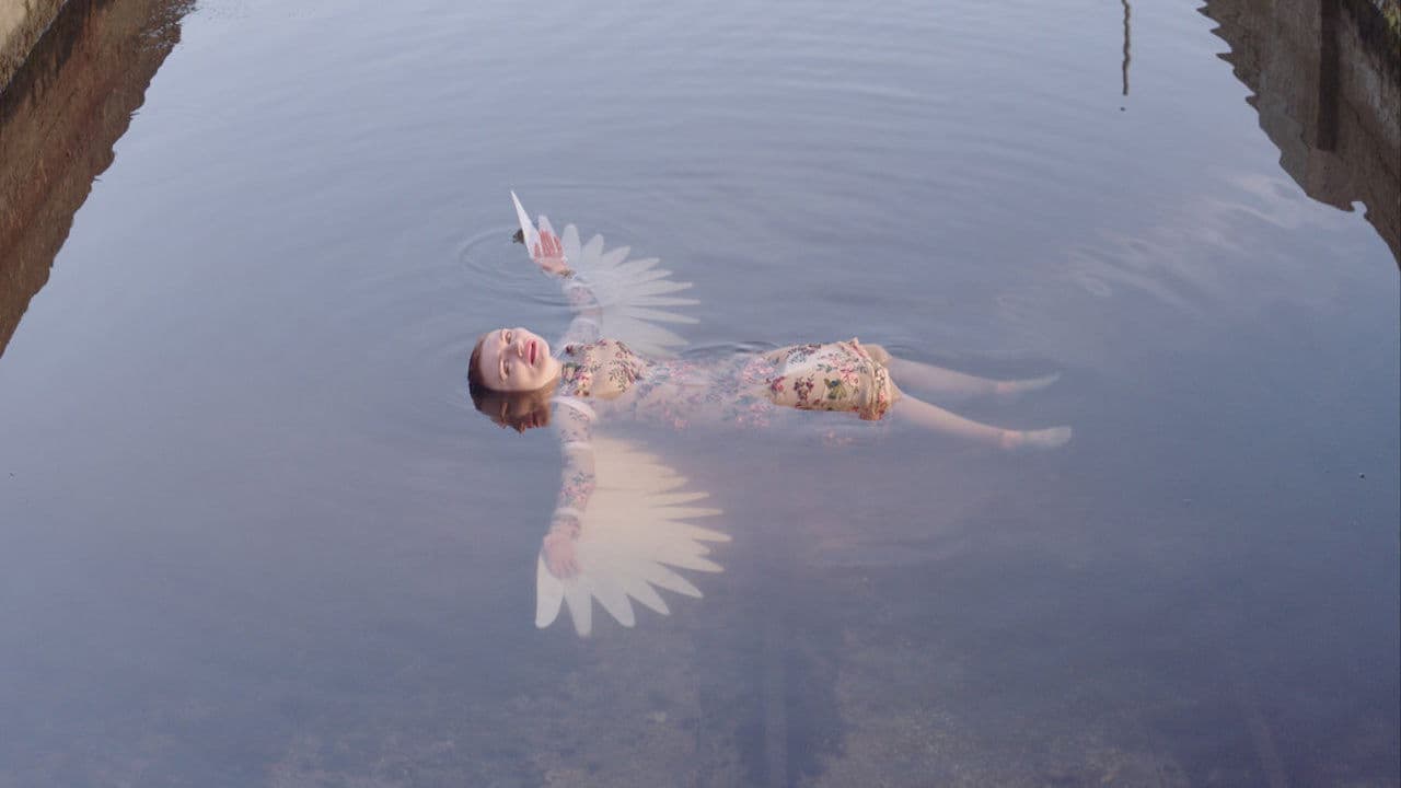 Poster backdrop for Die Seemeeu