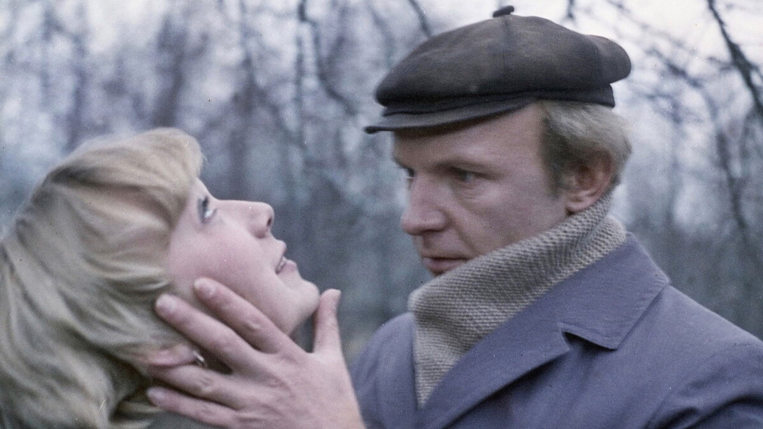 Poster backdrop for The Morning Round