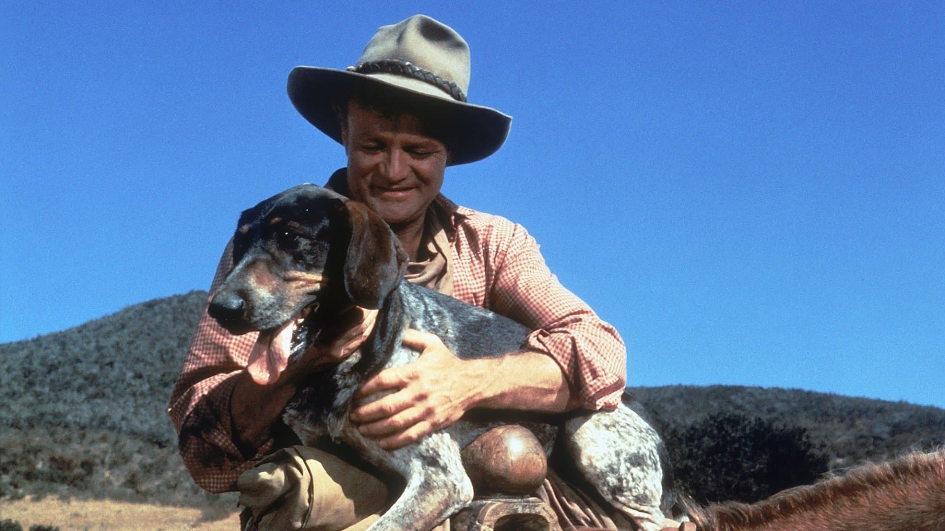 Poster backdrop for Savage Sam