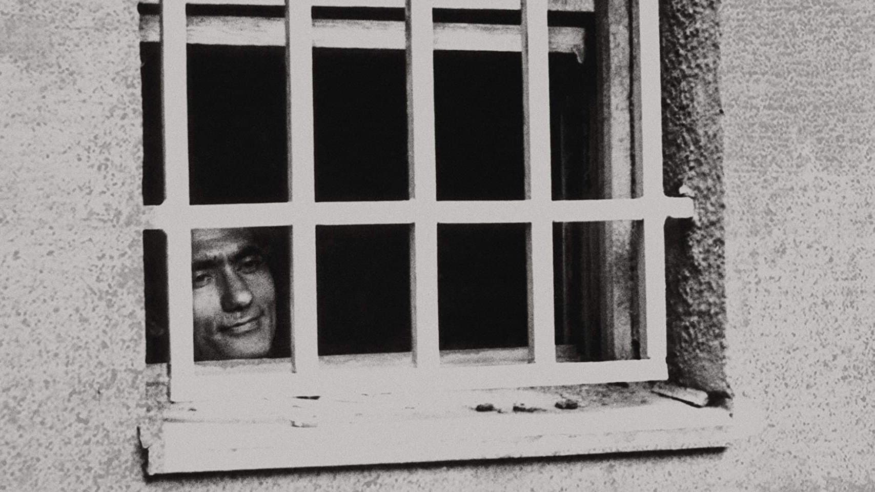 Poster backdrop for The Legend of the Ugly King