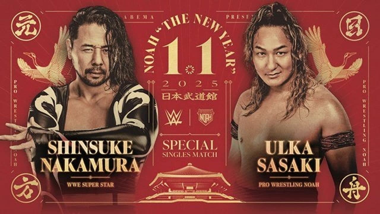 Poster backdrop for NOAH: The New Year 2025