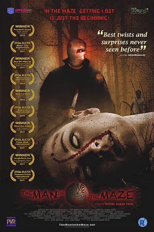 Poster backdrop for The Man in the Maze