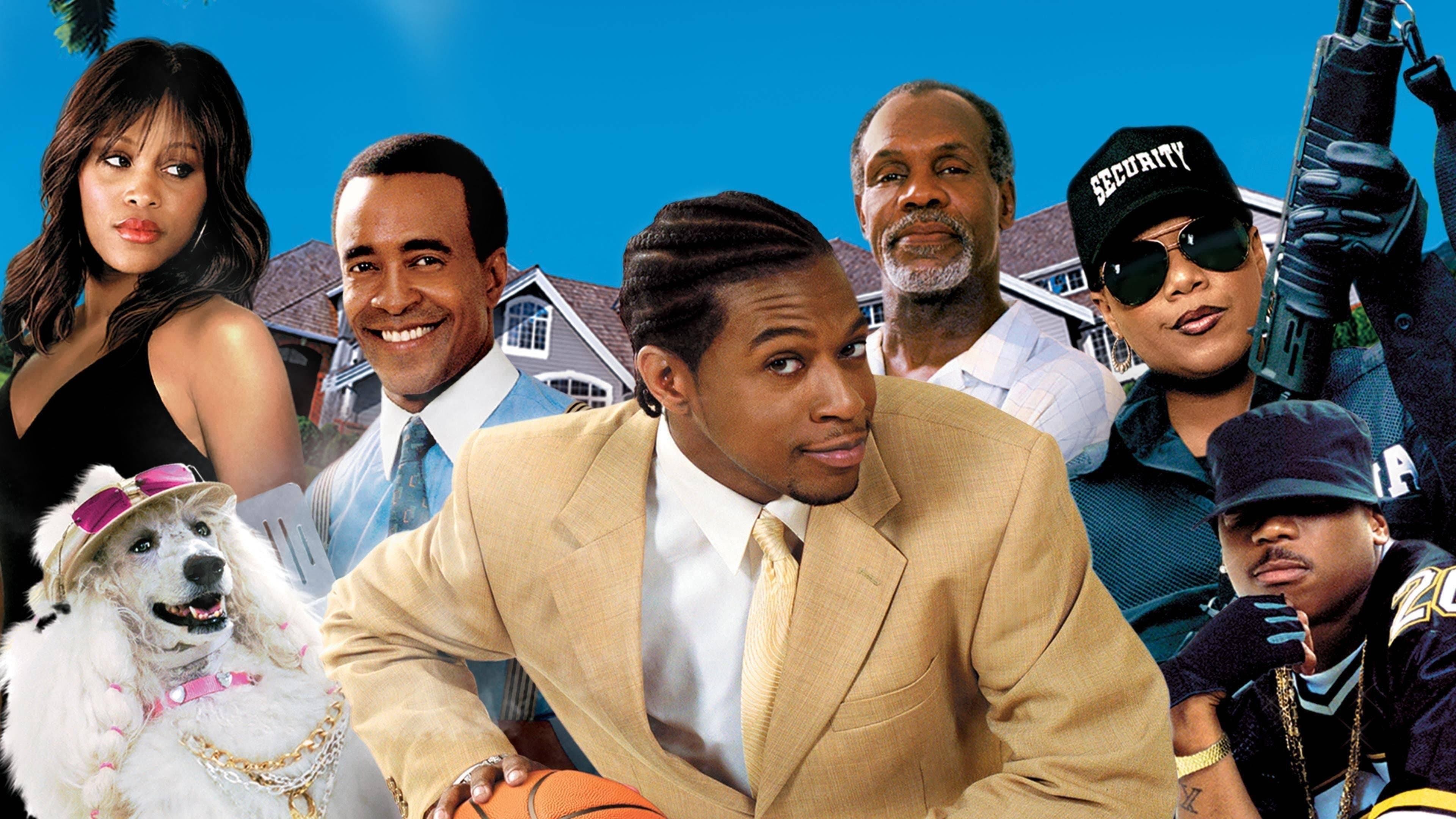 Poster backdrop for The Cookout