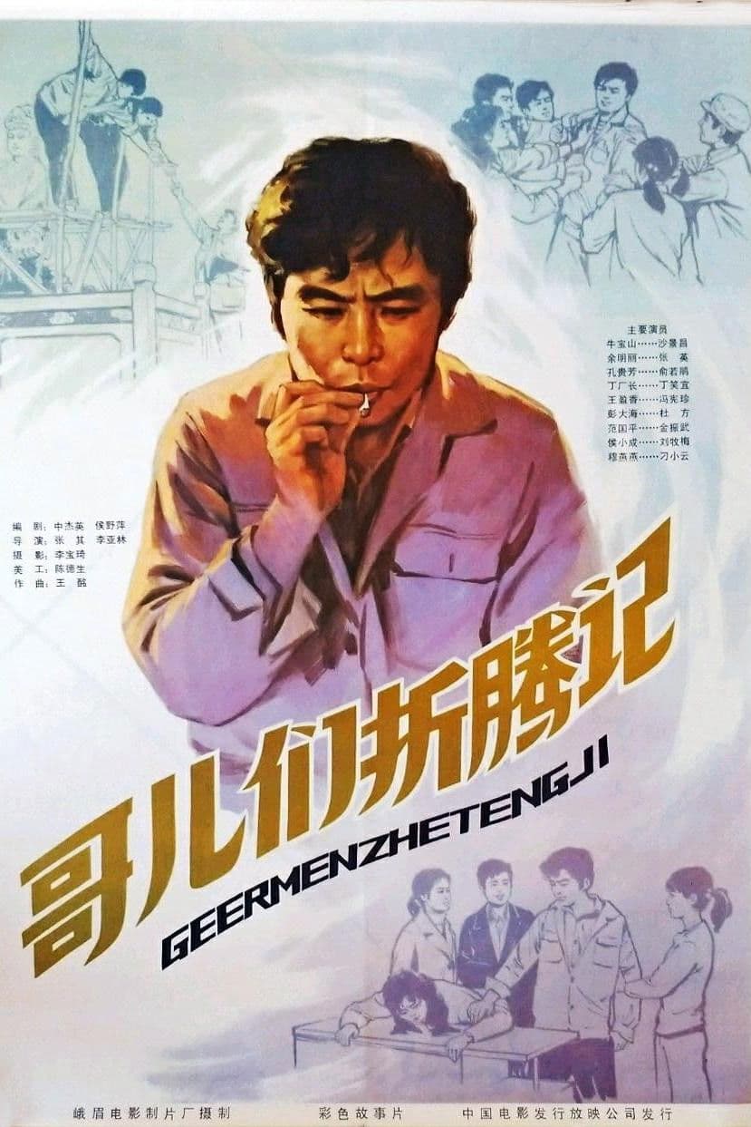 Poster backdrop for 哥们儿折腾记