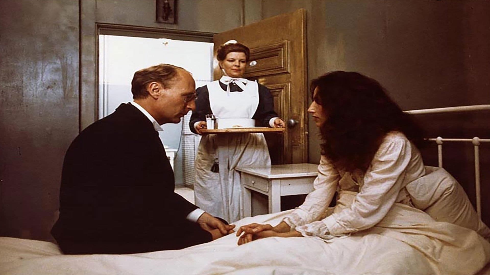 Poster backdrop for Formynderne