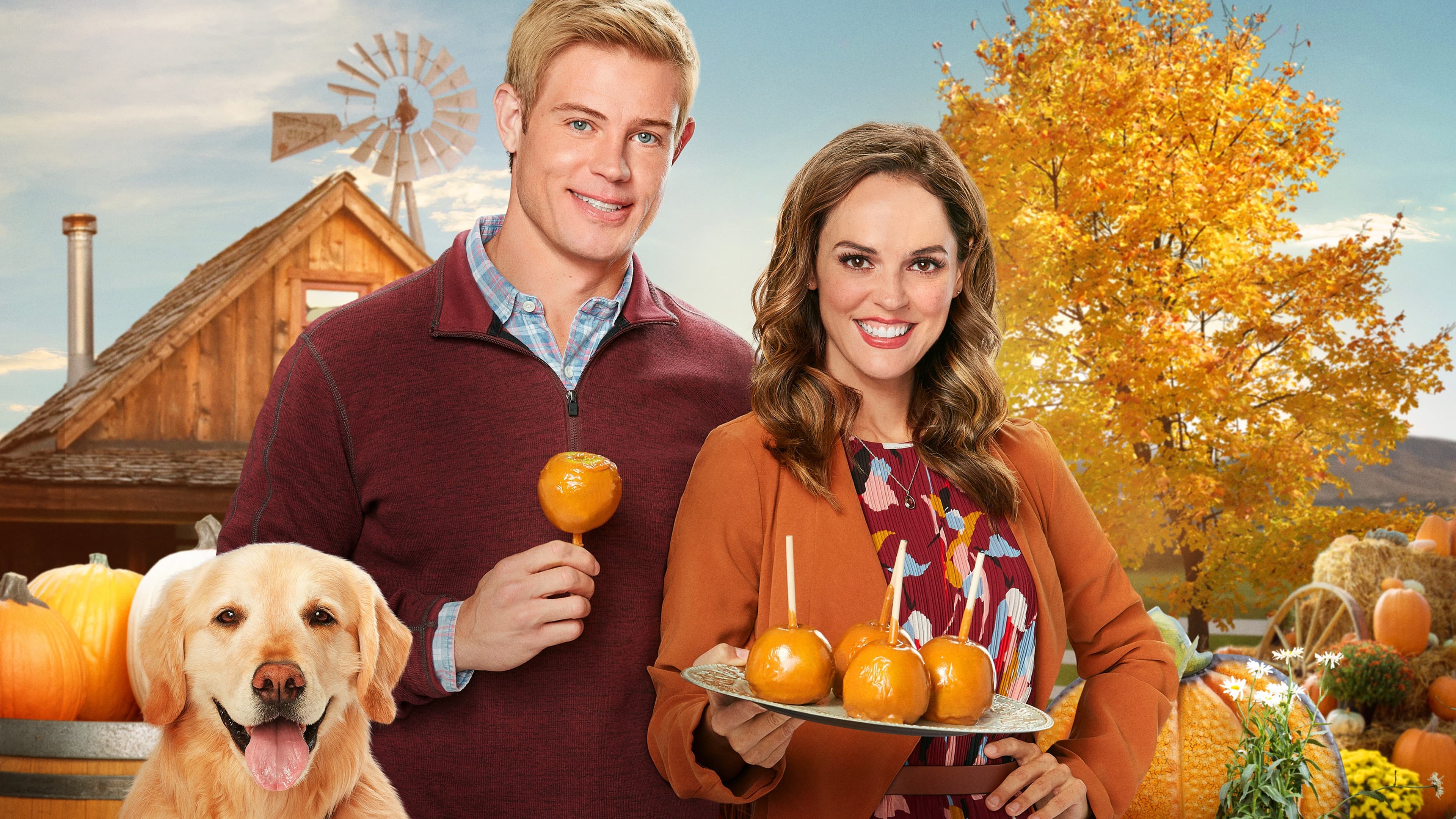 Poster backdrop for Love, Fall & Order