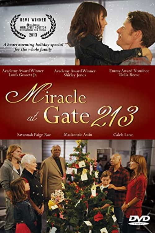 Poster backdrop for Miracle at Gate 213