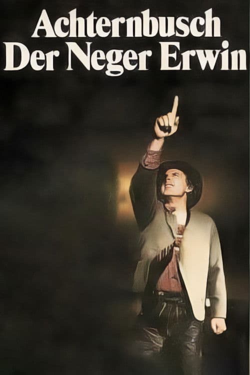 Poster backdrop for Der Neger Erwin