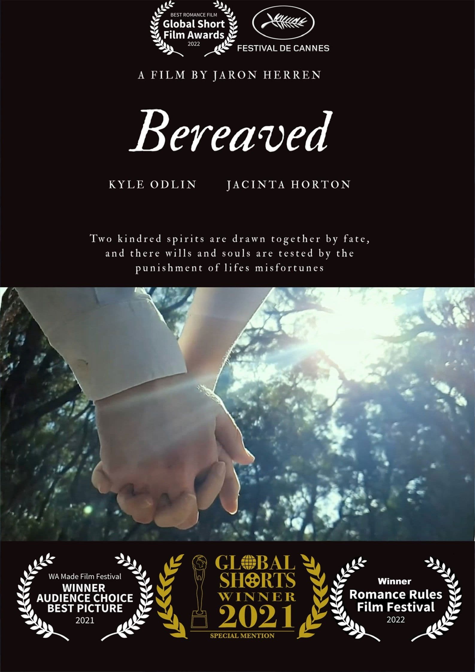 Poster backdrop for Bereaved