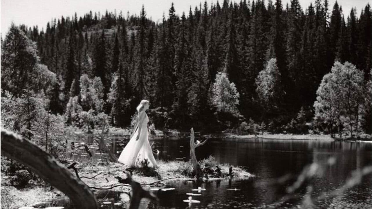 Poster backdrop for Lake of the Dead