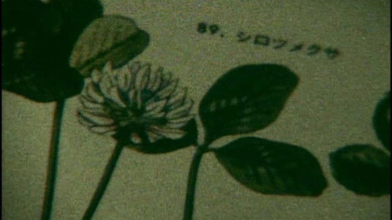 Poster backdrop for Life Can Be So Wonderful