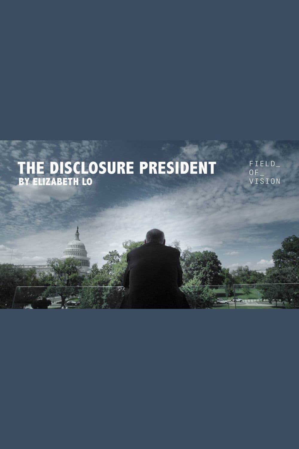 Poster backdrop for The Disclosure President
