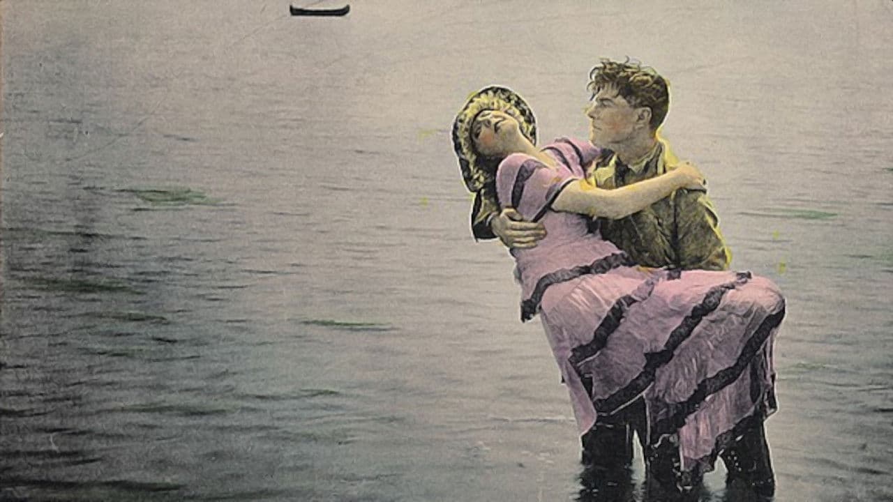 Poster backdrop for The Misleading Lady