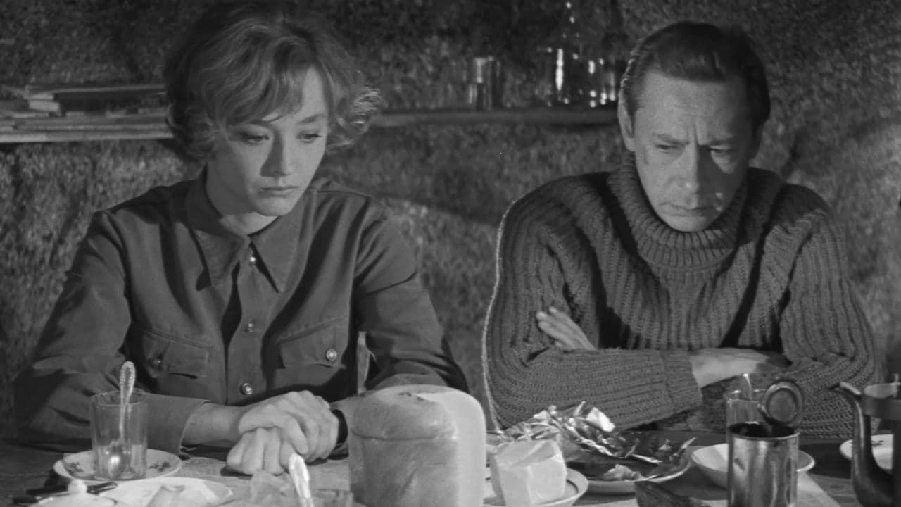 Poster backdrop for The Polynin Case