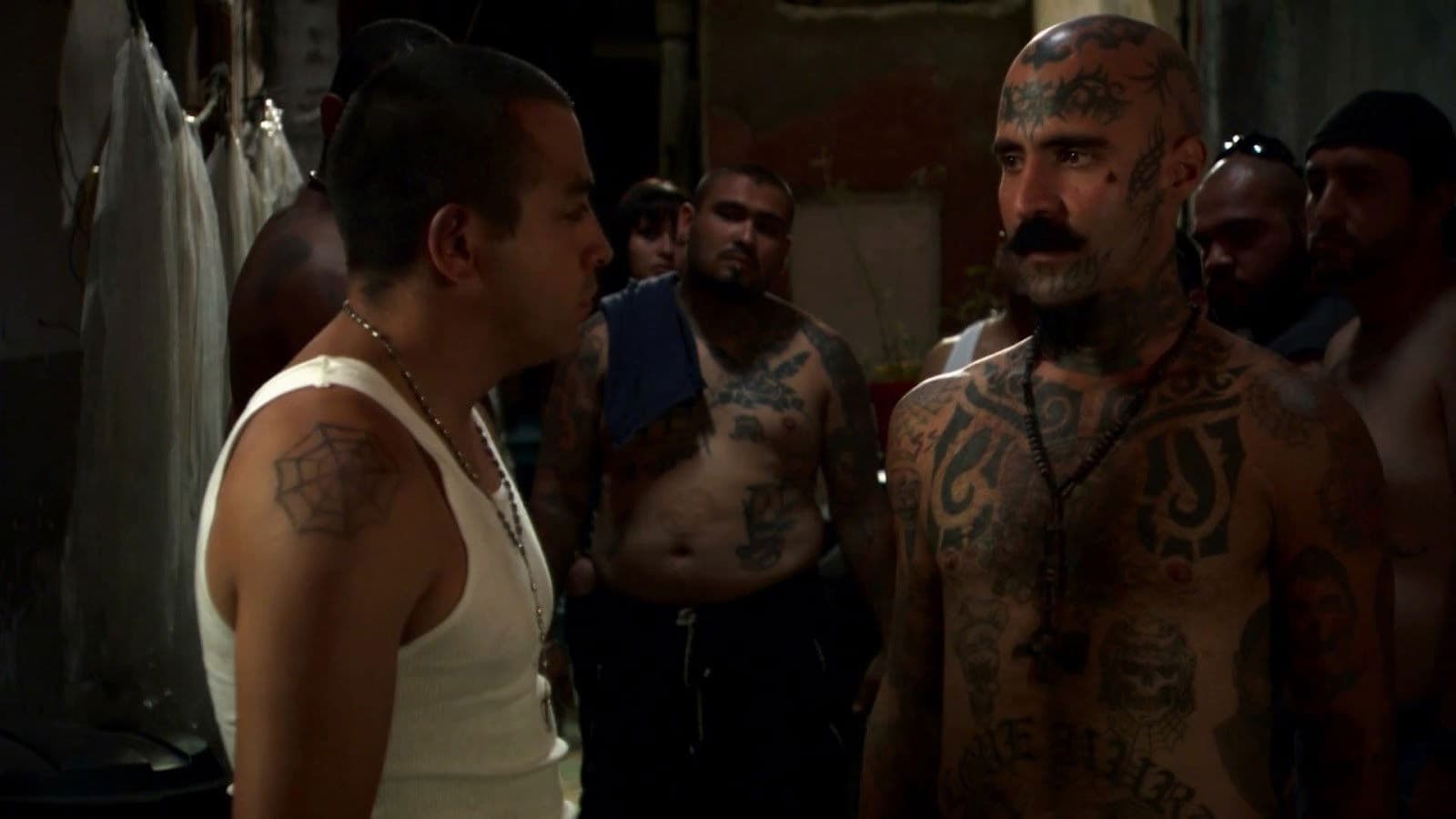 Poster backdrop for Destino Mara