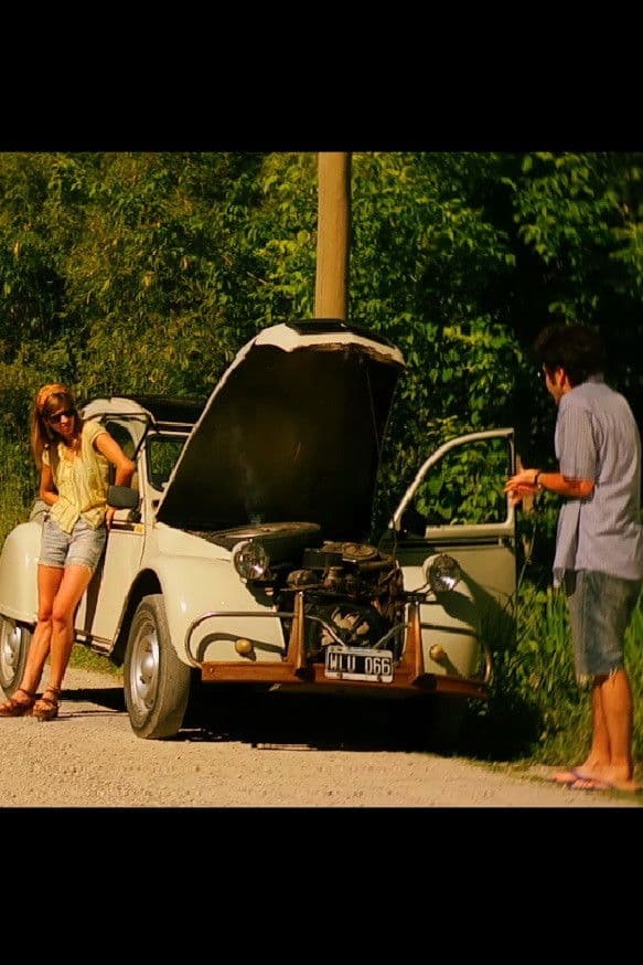 Poster backdrop for Palo blanco