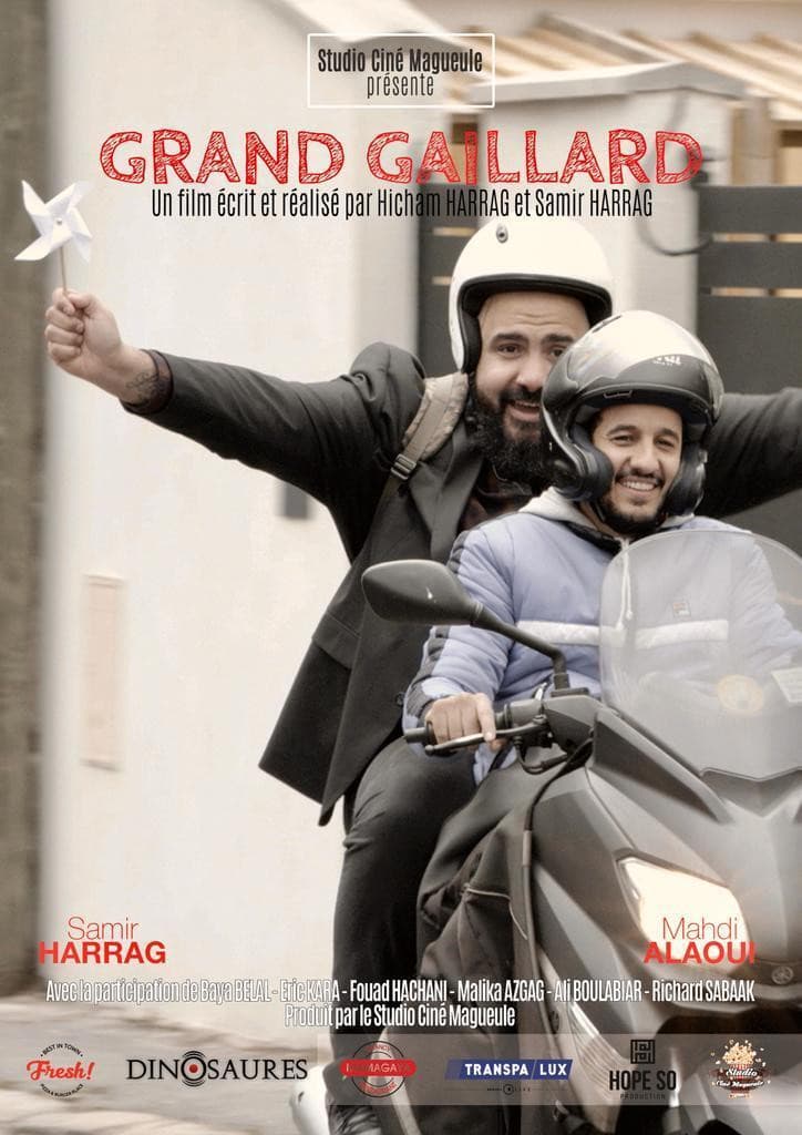 Poster backdrop for Grand gaillard