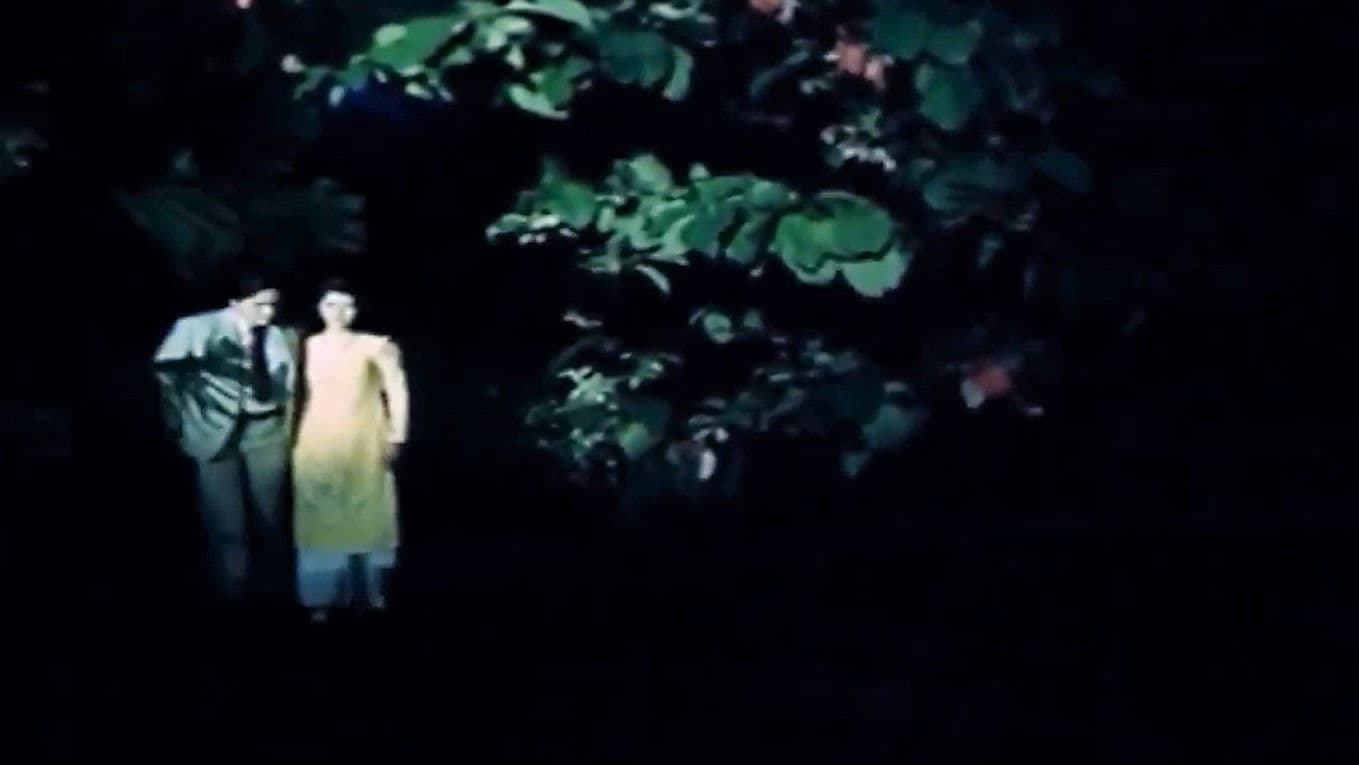 Poster backdrop for Saigon Rangers: Return You Your Name