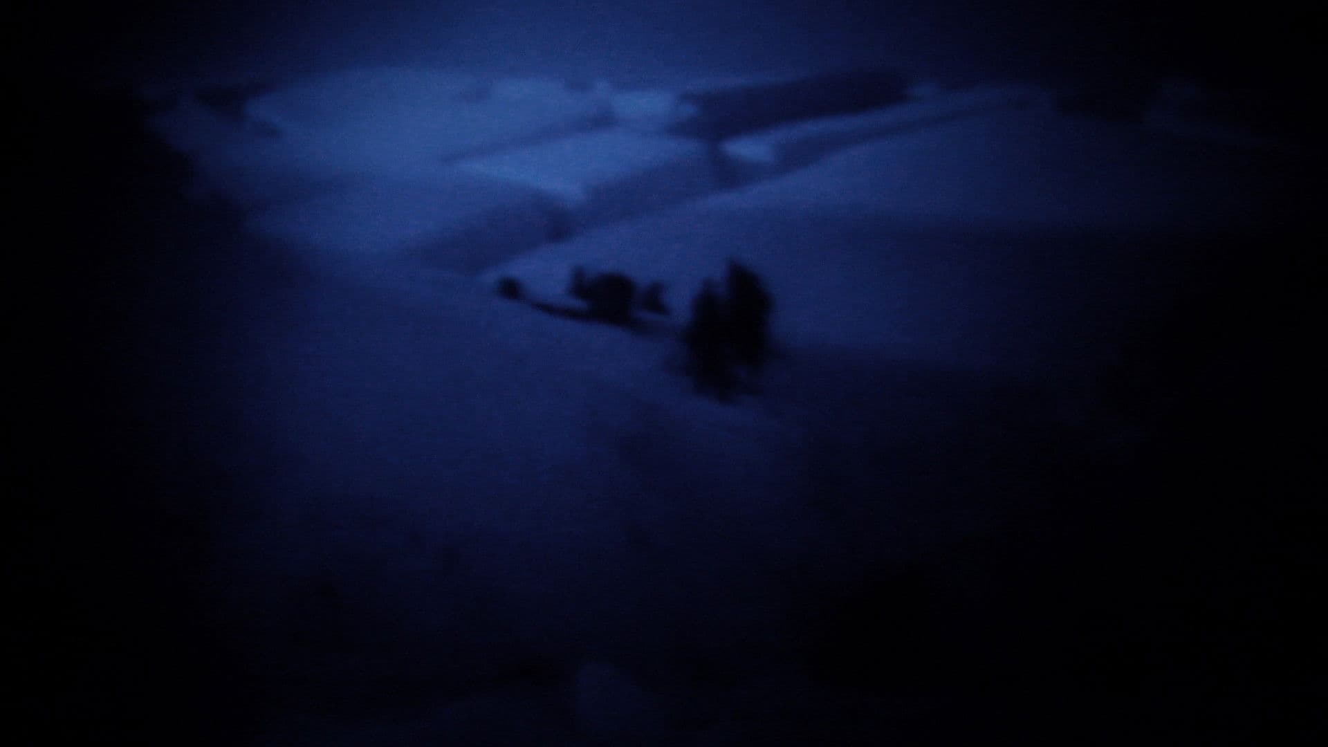 Poster backdrop for Polar Nights